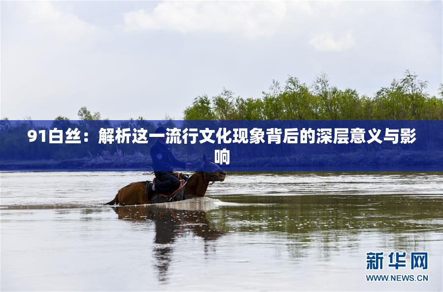 91白丝：解析这一流行文化现象背后的深层意义与影响