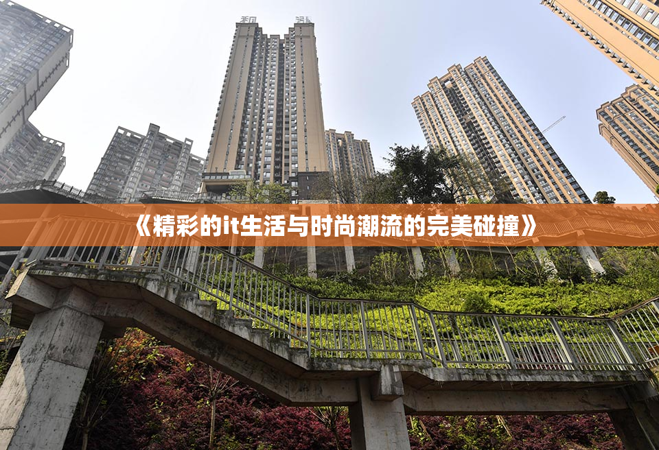 《精彩的it生活与时尚潮流的完美碰撞》
