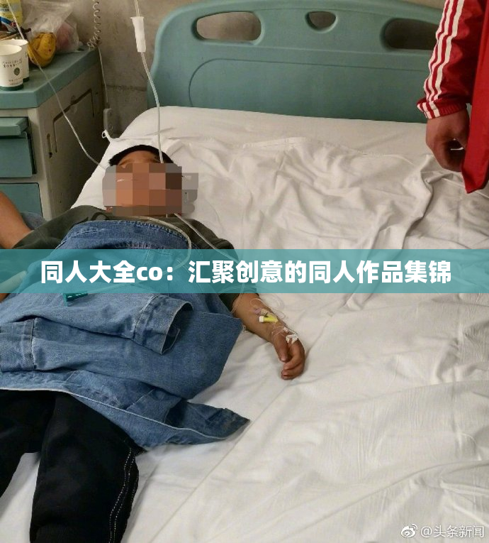 同人大全co：汇聚创意的同人作品集锦