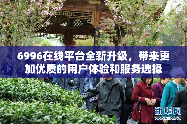 6996在线平台全新升级，带来更加优质的用户体验和服务选择