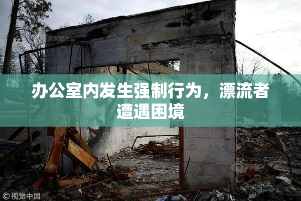 办公室内发生强制行为，漂流者遭遇困境