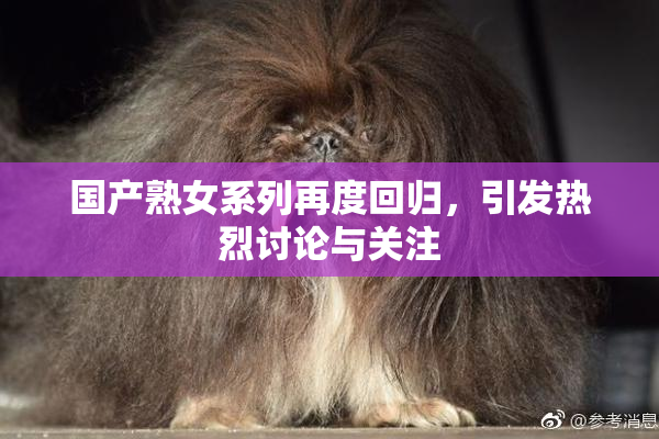 国产熟女系列再度回归，引发热烈讨论与关注
