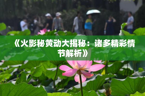 《火影秘黄动大揭秘：诸多精彩情节解析》