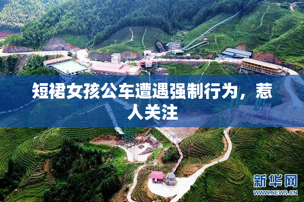 短裙女孩公车遭遇强制行为，惹人关注