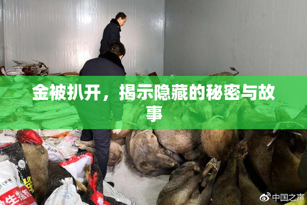金被扒开，揭示隐藏的秘密与故事