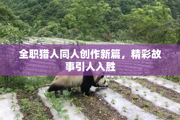 全职猎人同人创作新篇，精彩故事引人入胜