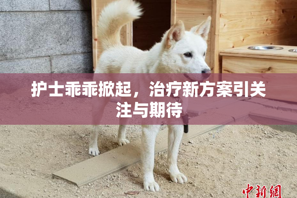 护士乖乖掀起，治疗新方案引关注与期待