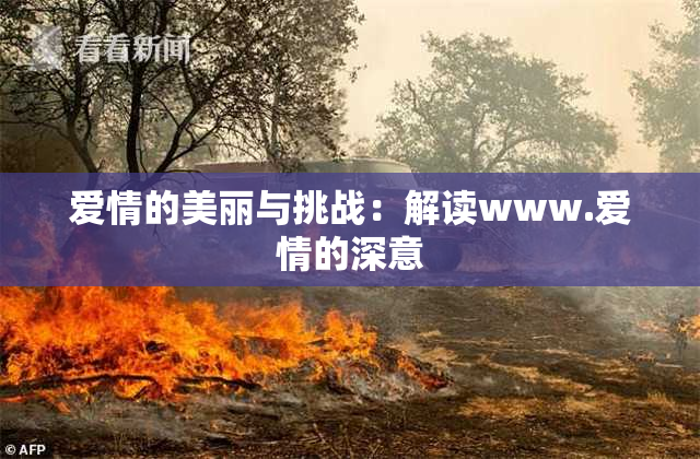 爱情的美丽与挑战：解读www.爱情的深意