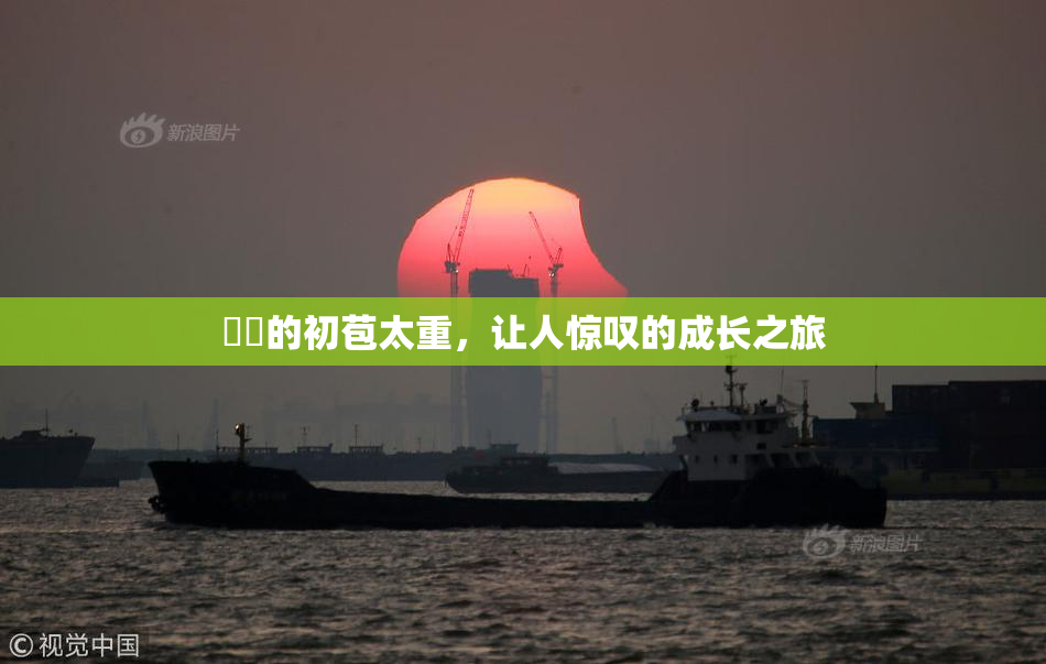 妺妺的初苞太重，让人惊叹的成长之旅