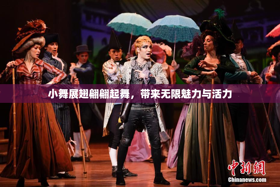小舞展翅翩翩起舞，带来无限魅力与活力