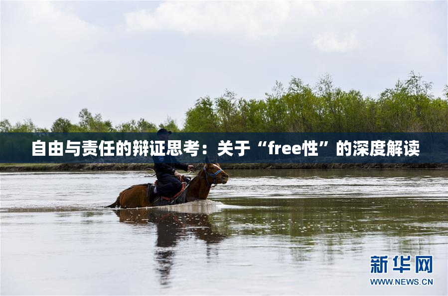 自由与责任的辩证思考：关于“free性”的深度解读