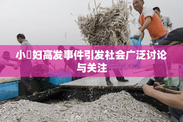 小婬妇高发事件引发社会广泛讨论与关注