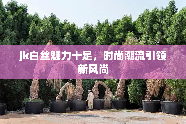 jk白丝魅力十足，时尚潮流引领新风尚