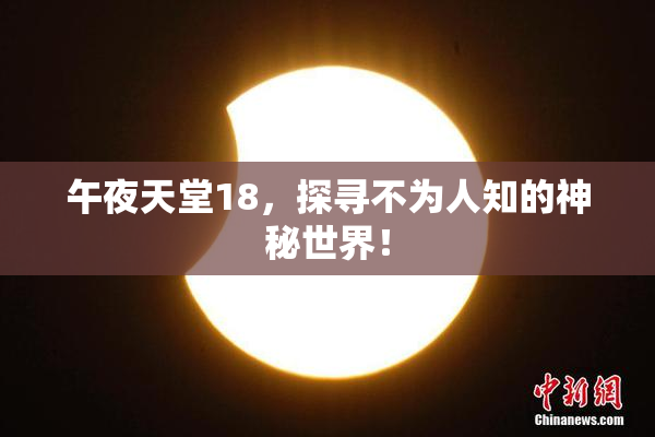 午夜天堂18，探寻不为人知的神秘世界！