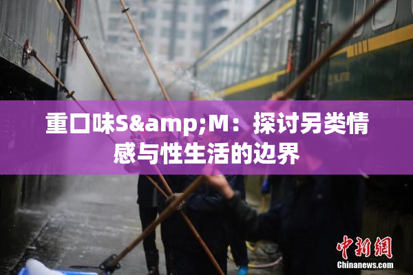 重口味S&M：探讨另类情感与性生活的边界