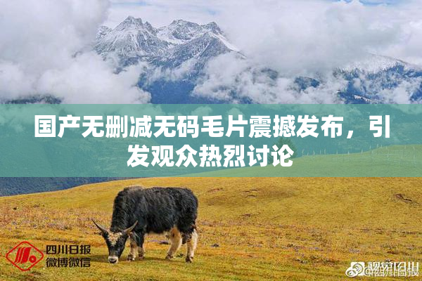 国产无删减无码毛片震撼发布，引发观众热烈讨论