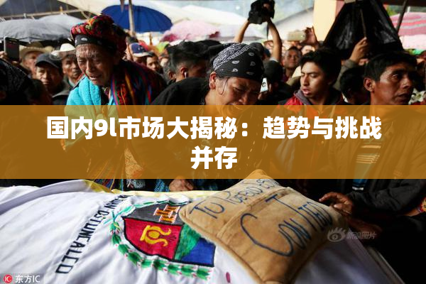 国内9l市场大揭秘：趋势与挑战并存