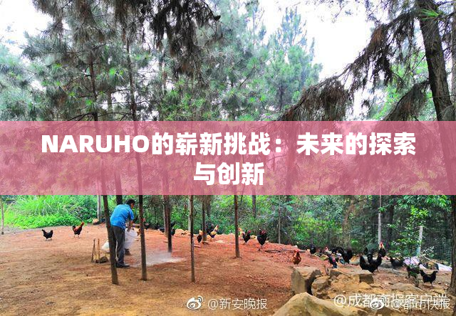 NARUHO的崭新挑战：未来的探索与创新
