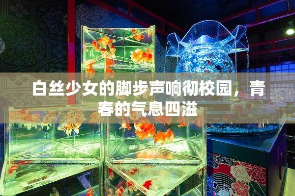 白丝少女的脚步声响彻校园，青春的气息四溢