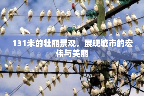131米的壮丽景观，展现城市的宏伟与美丽