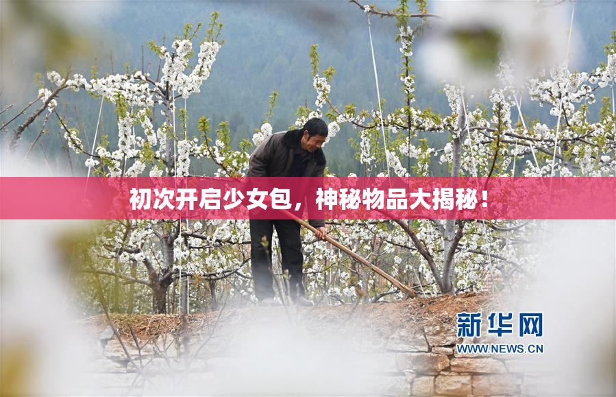 初次开启少女包，神秘物品大揭秘！