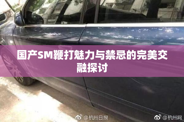 国产SM鞭打魅力与禁忌的完美交融探讨