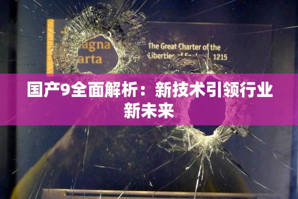 国产9全面解析：新技术引领行业新未来