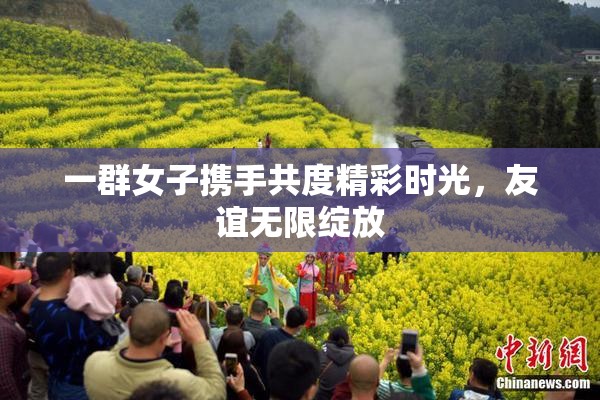 一群女子携手共度精彩时光，友谊无限绽放