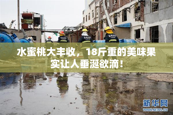 水蜜桃大丰收，18斤重的美味果实让人垂涎欲滴！