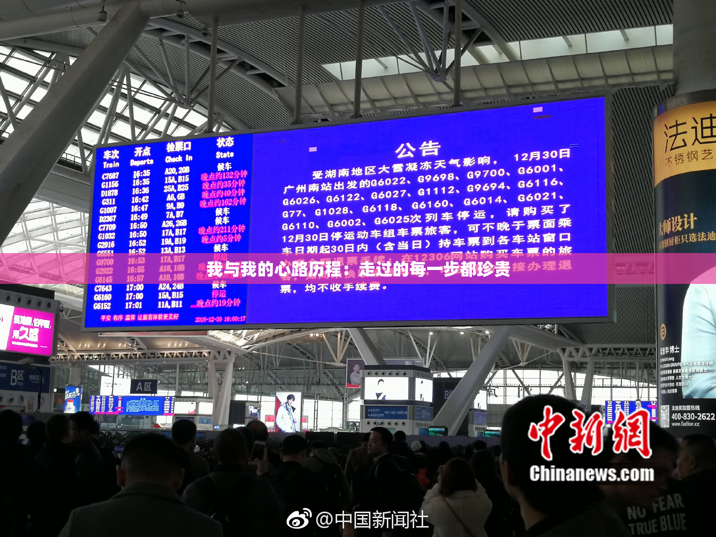 我与我的心路历程：走过的每一步都珍贵
