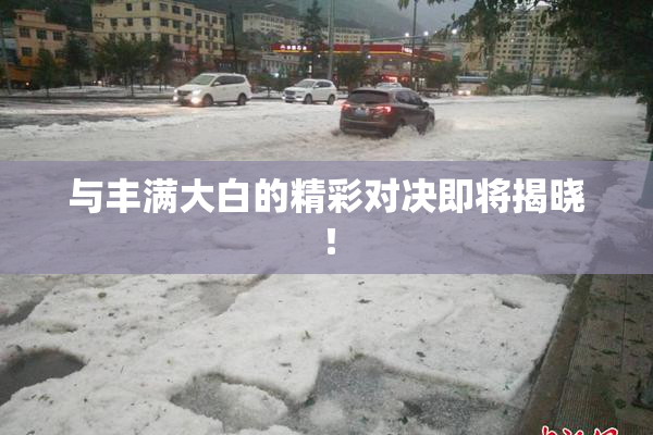 与丰满大白的精彩对决即将揭晓！