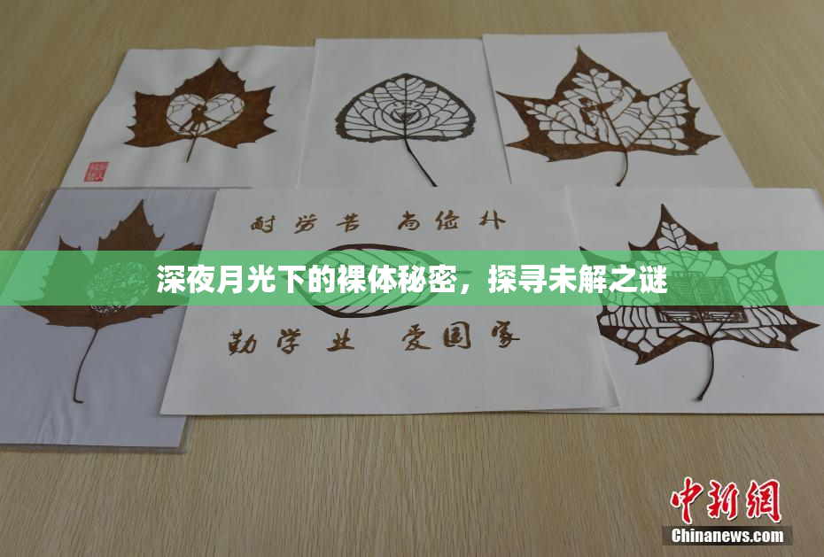深夜月光下的裸体秘密，探寻未解之谜
