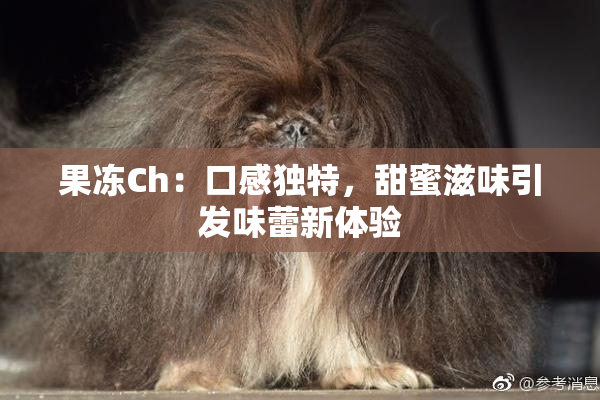 果冻Ch：口感独特，甜蜜滋味引发味蕾新体验
