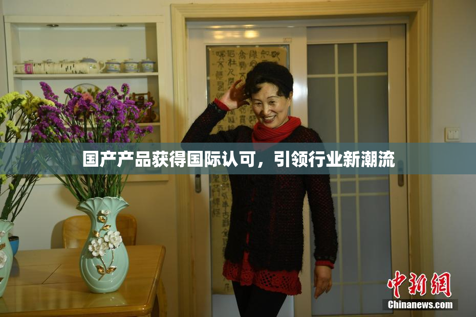 国产产品获得国际认可，引领行业新潮流