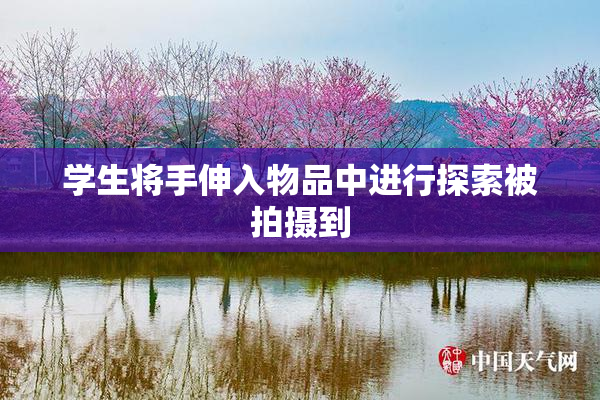 学生将手伸入物品中进行探索被拍摄到