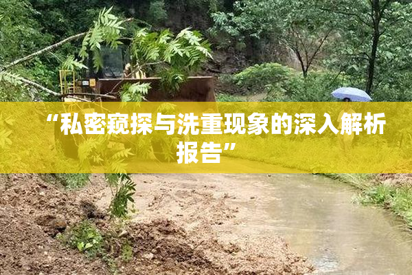 “私密窥探与洗重现象的深入解析报告”