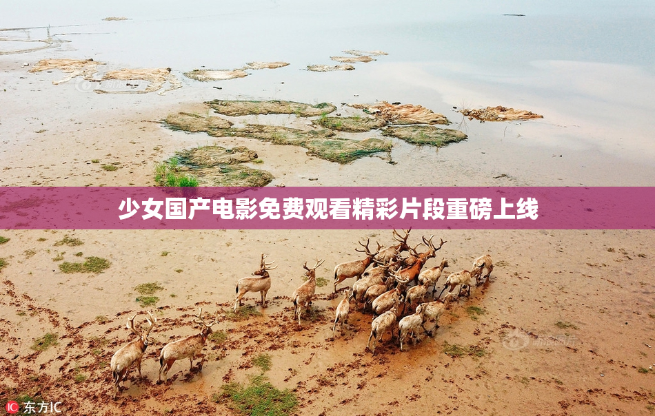 少女国产电影免费观看精彩片段重磅上线
