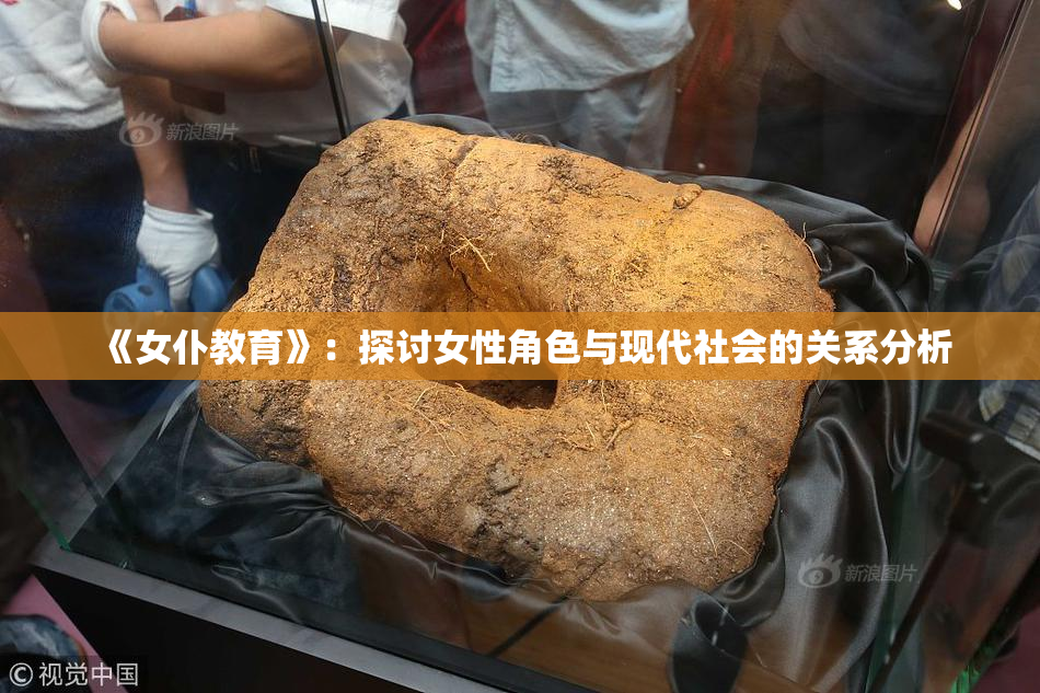 《女仆教育》：探讨女性角色与现代社会的关系分析