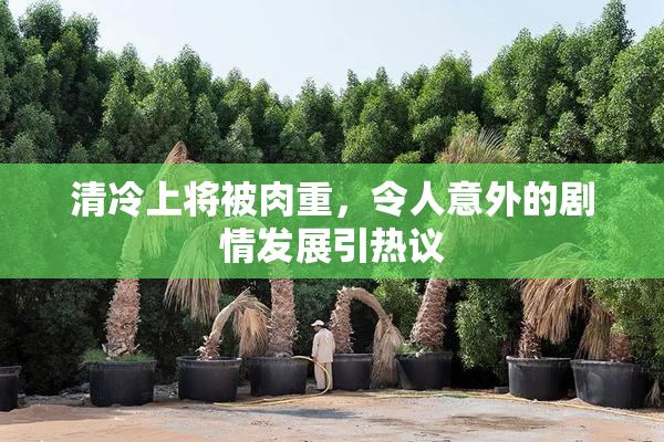 清冷上将被肉重，令人意外的剧情发展引热议