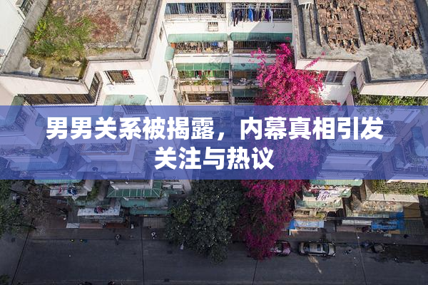 男男关系被揭露，内幕真相引发关注与热议