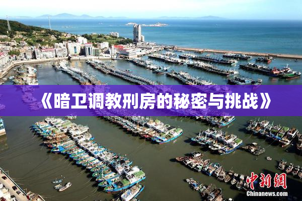 《暗卫调教刑房的秘密与挑战》