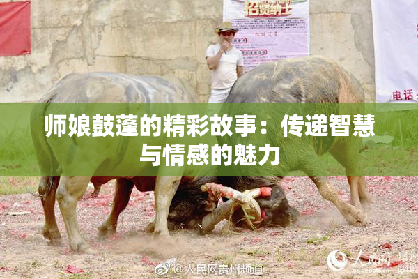 师娘鼓蓬的精彩故事：传递智慧与情感的魅力