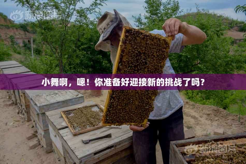 小舞啊，嗯！你准备好迎接新的挑战了吗？