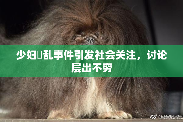 少妇婬乱事件引发社会关注，讨论层出不穷