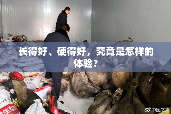 长得好、硬得好，究竟是怎样的体验？