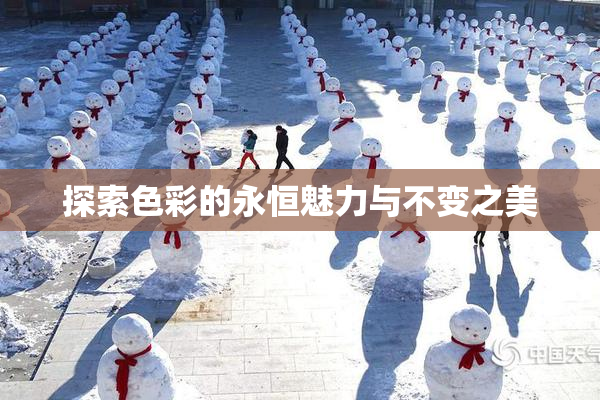 探索色彩的永恒魅力与不变之美