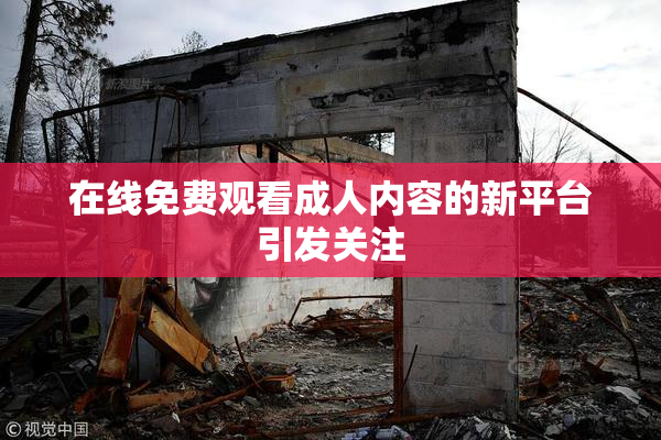 在线免费观看成人内容的新平台引发关注