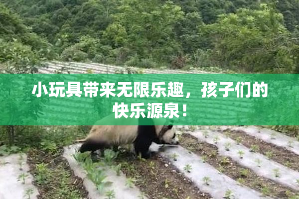 小玩具带来无限乐趣，孩子们的快乐源泉！