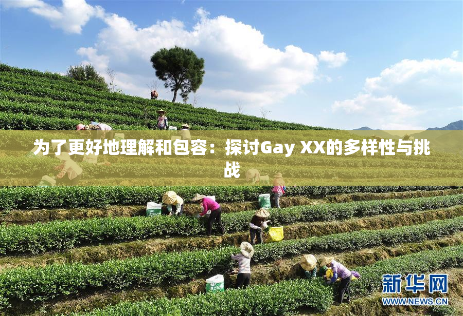 为了更好地理解和包容：探讨Gay XX的多样性与挑战