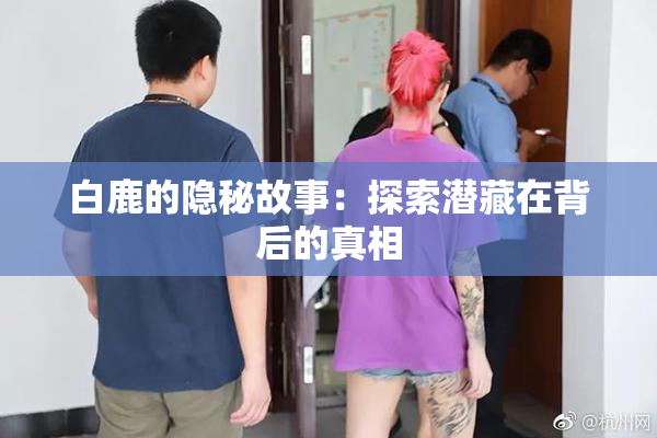 白鹿的隐秘故事：探索潜藏在背后的真相